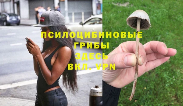 гашишное масло Карпинск