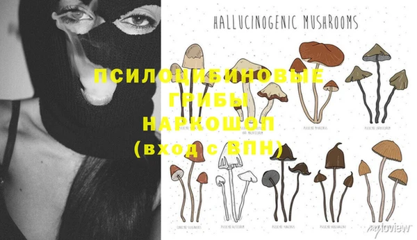 a pvp Касимов