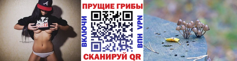 Купить закладки  Нерчинск  Псилоцибиновые грибы Magic Shrooms 